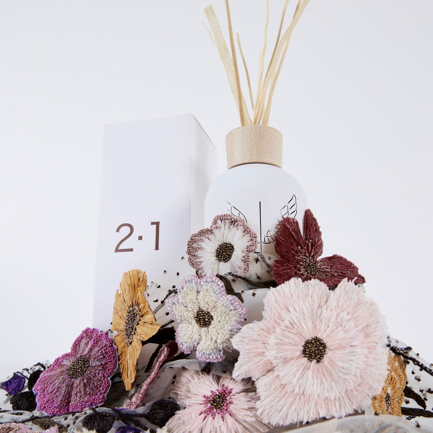 <transcy>Diffuser 2.1</transcy>