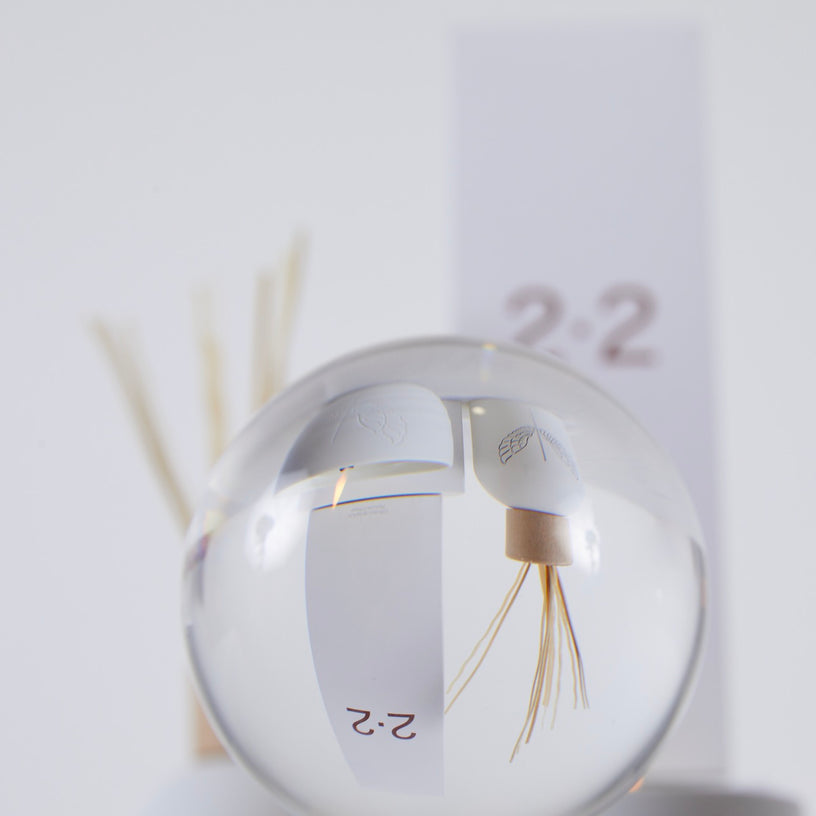 <transcy>Diffuser 2.2</transcy>