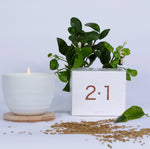 Charger l'image dans la galerie, Bougie 2.1