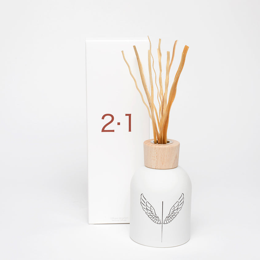 <transcy>Diffuser 2.1</transcy>