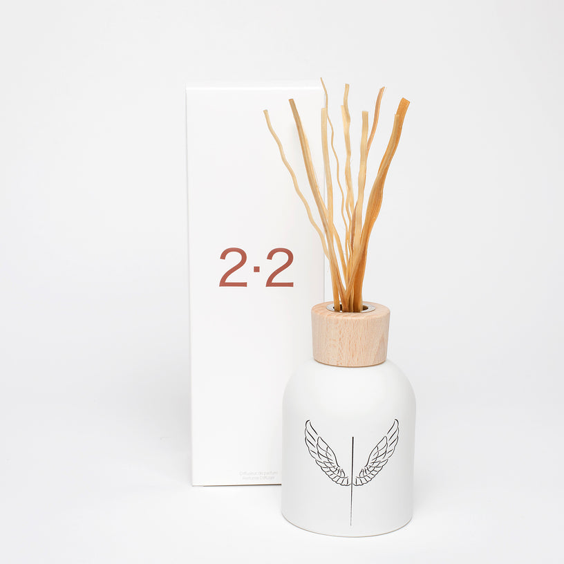 <transcy>Diffuser 2.2</transcy>